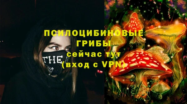 мескалин Бородино