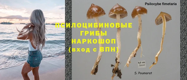 спайс Белокуриха