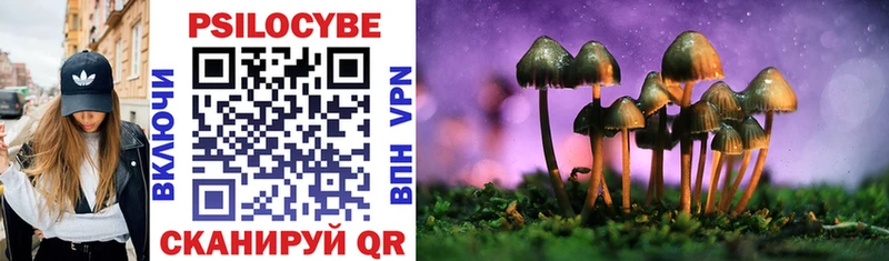 Псилоцибиновые грибы Magic Shrooms  блэк спрут маркетплейс  Кинель 
