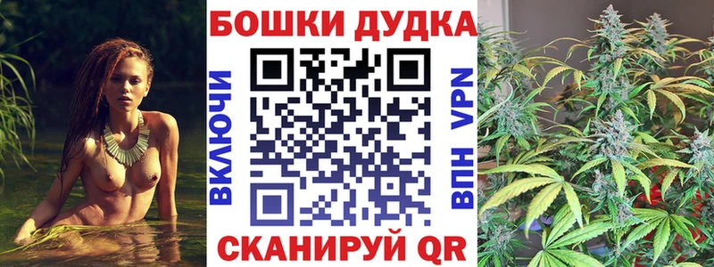 купить цена Кинель Бошки Шишки марихуана